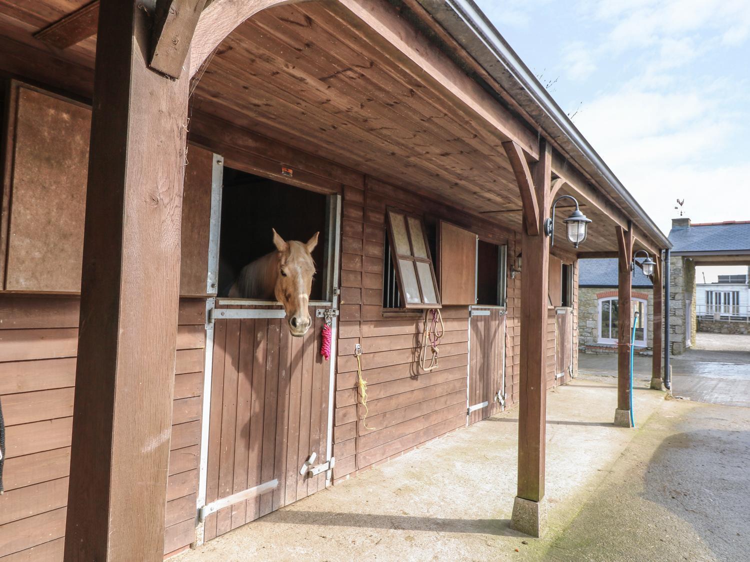 Dexter, Penryn Villa Exteriör bild